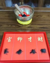 -雪绒花月子会所(万安店)
