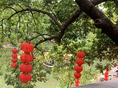 -侨美·唐荔园·40年地道粤菜