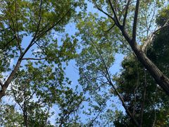 -后襄河公园