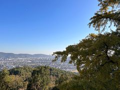-灵岩山风景区