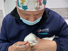 -良伴无忧宠物医院(泰欣嘉园店)