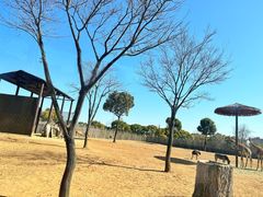 -上海野生动物园