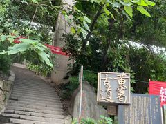 -黄葛古道