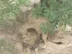 -西霞口神雕山野生动物世界