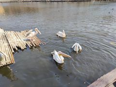 -沈阳森林动物园