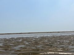 -启东黄金海滩景区