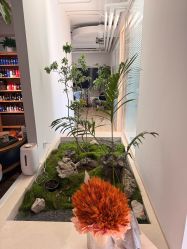 -极昼美黑24H日晒沙龙