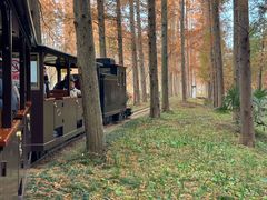 -黄海国家森林公园