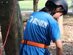 -夏山营地教育