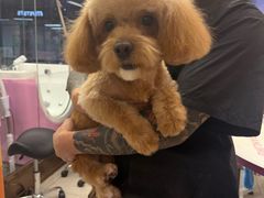 -FAELING PETS美天灵宠物(富力广场店)