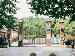 -伯先公园
