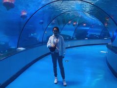 -泉城欧乐堡海洋极地世界