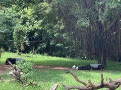 -广州长隆野生动物世界