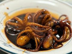 -大树下饭店(春晓镇慈岙社区卫生服务站南)