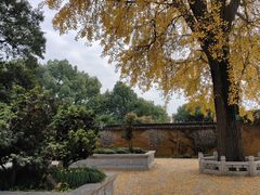 -苏州上方山国家森林公园