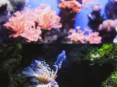 -南昌海洋公园