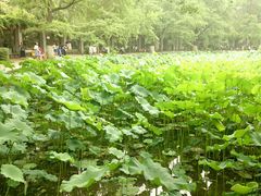 -四川大学(华西校区)