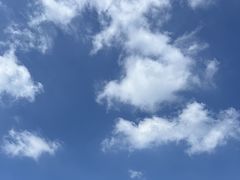 -Wagas沃歌斯(大学路店)