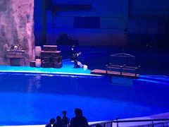 -华夏文旅海洋公园