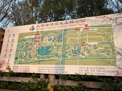 -上海海湾国家森林公园