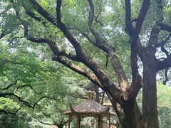 -上海兴国宾馆香樟园西餐厅