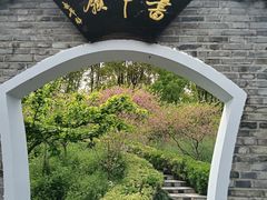 -南汇桃花村