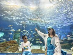-海合安武汉极地海洋公园