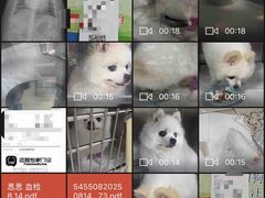 -美联众合动物医院·24h转诊中心