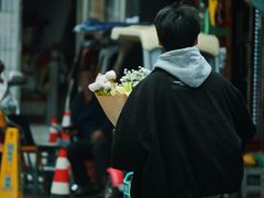 -溪岸路花鸟市场