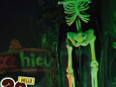 -朝阳公园游乐园