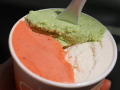 -Dip in Gelato(富民路店)