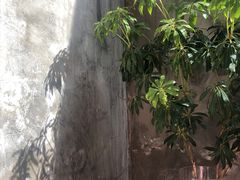 -VOYAGE COFFEE(北锣鼓巷店)