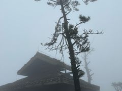 -娄山关景区