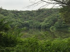 -李小龙乐园(顺德均安店)