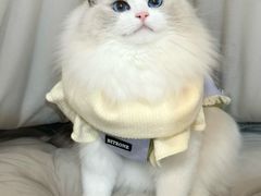 -荔康动物医院(康王北路店)