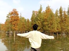 -白鹭湾湿地公园