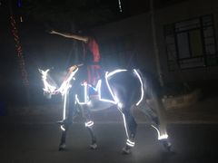 -灵玲国际马戏城