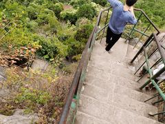 -抱犊崮国家森林公园