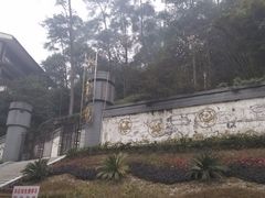 -大金鹰园