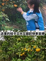 -前小桔亲子创意农场·草莓采摘·露营烧烤