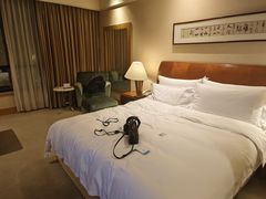 -重庆希尔顿酒店