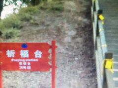 -黄帝陵
