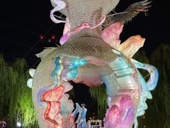 -淄博花灯齐彩城