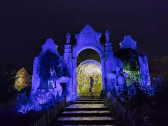 -大塘金香草谷