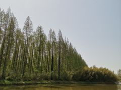 -黄海国家森林公园