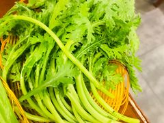-双合福火锅(河北路店)