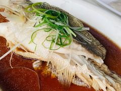 -云中小雅