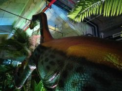 -恐龙探索乐园(磁器口店)