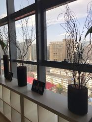 -北京米扬丽格医疗美容·联合丽格鼻整形中心