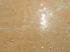 -日照海滨国家森林公园